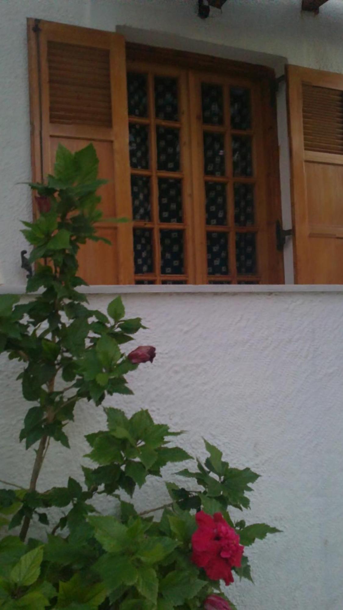 Pantazis Studios Aegina Exterior photo