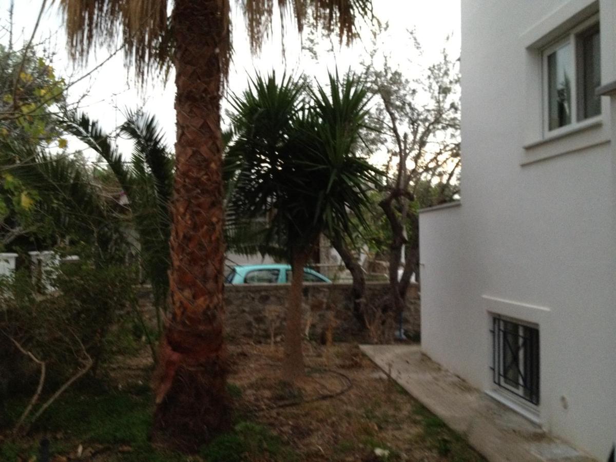 Pantazis Studios Aegina Room photo